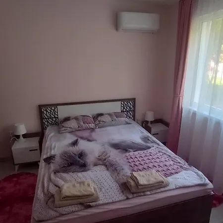 Cosy Apartment